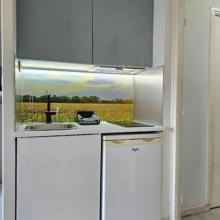 Διαμέρισμα Affitto-nizza Νίκαια