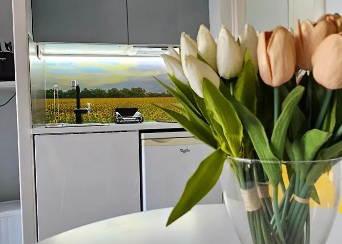 Affitto-nizza Lejlighed Nice