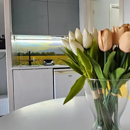 Affitto-nizza Апартаменты Ницца